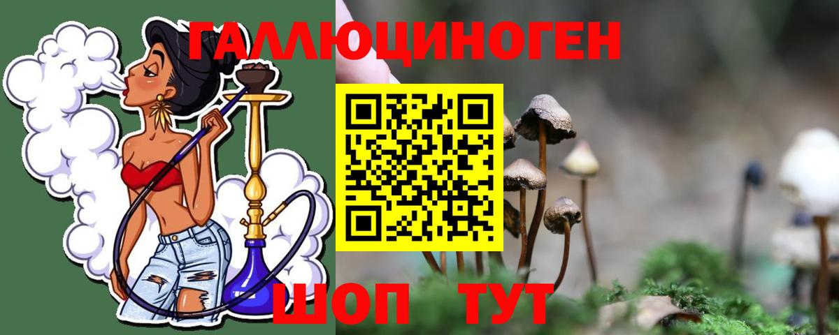 Киров  магазин    Вход с VPN  Галлюциногенные грибы ЛСД 